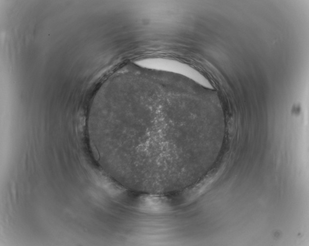 X0000090470372200708102139