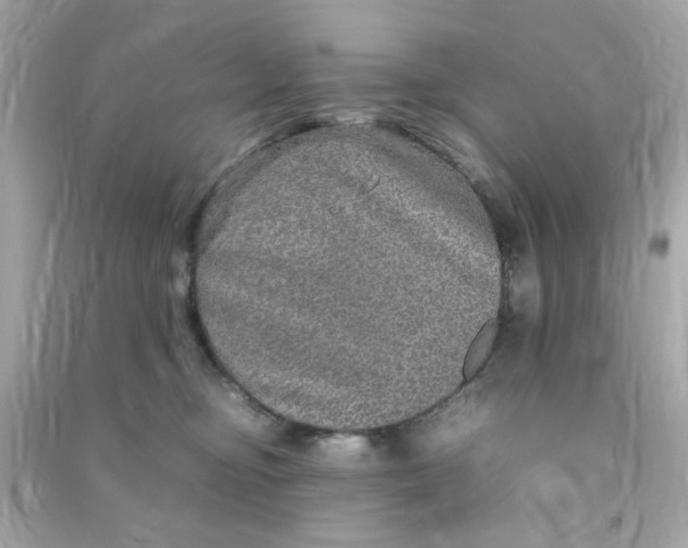 X0000090470374200708102139