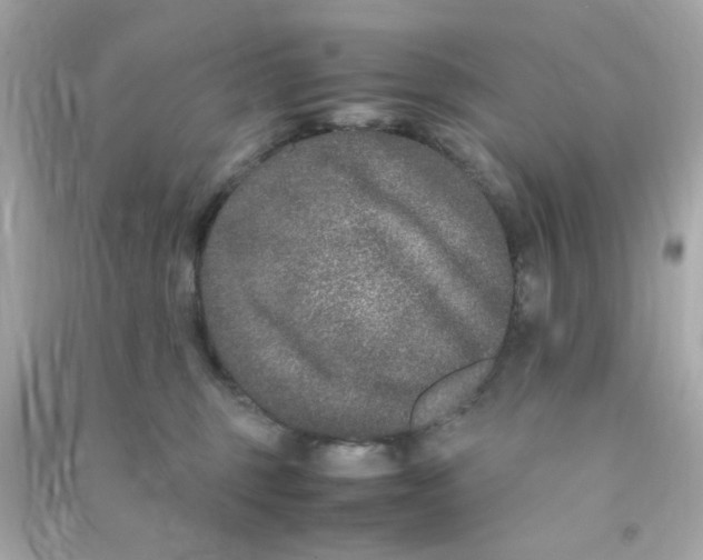 X0000090470375200708102139