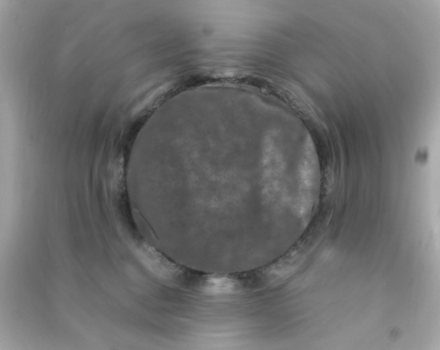 X0000090470376200708102139