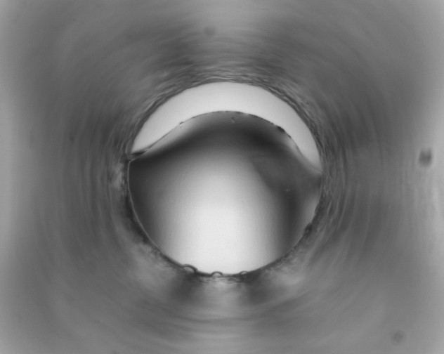 X0000090470380200708102139