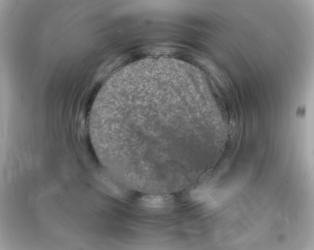 X0000090470381200708102139