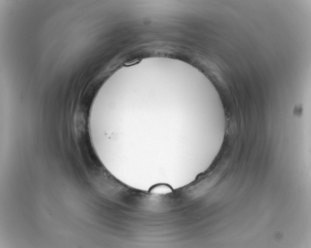 X0000090470382200708102139