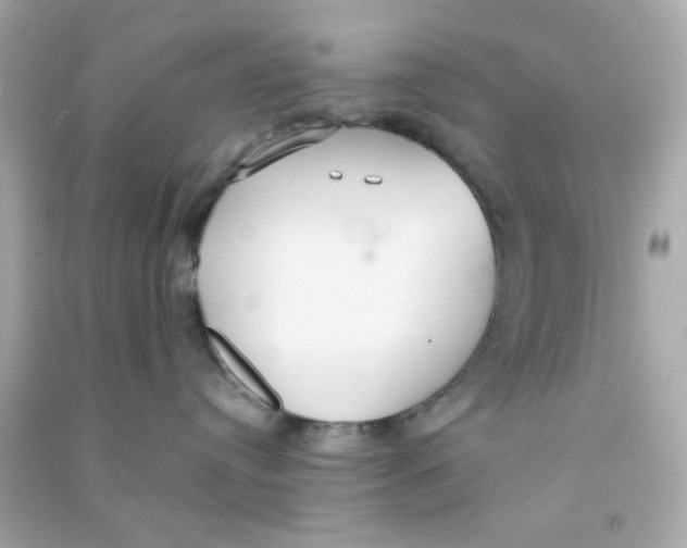 X0000090470384200708102139