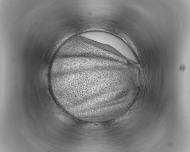 X0000090470386200708102138