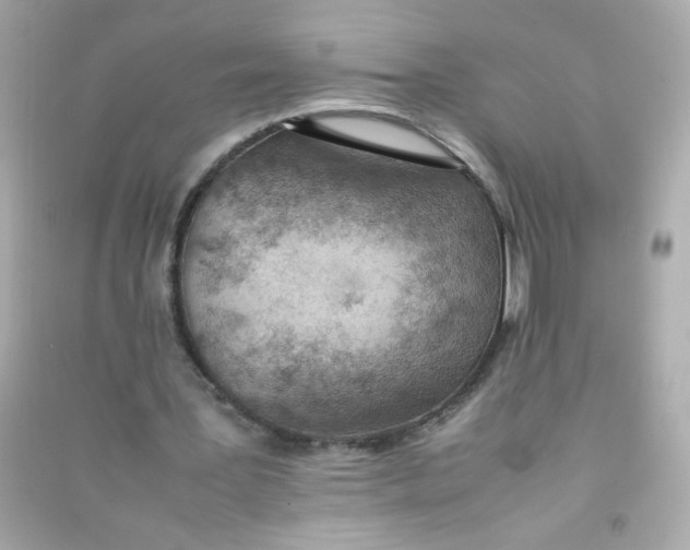 X0000090470387200708102138