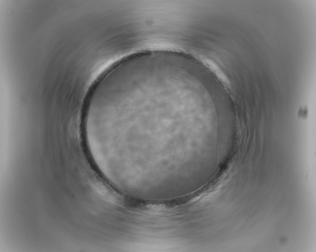 X0000090470391200708102138