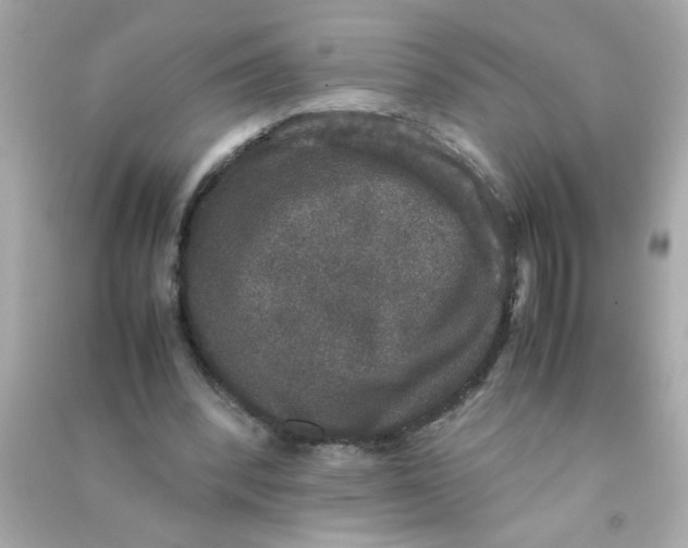 X0000090470392200708102138