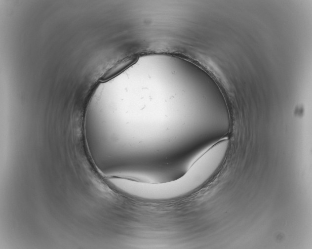 X0000090470393200708102138