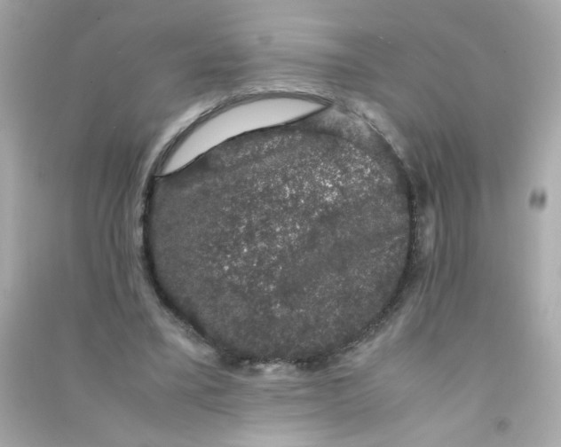 X0000090470395200708102138