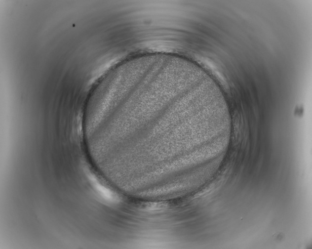 X0000090470398200708102138