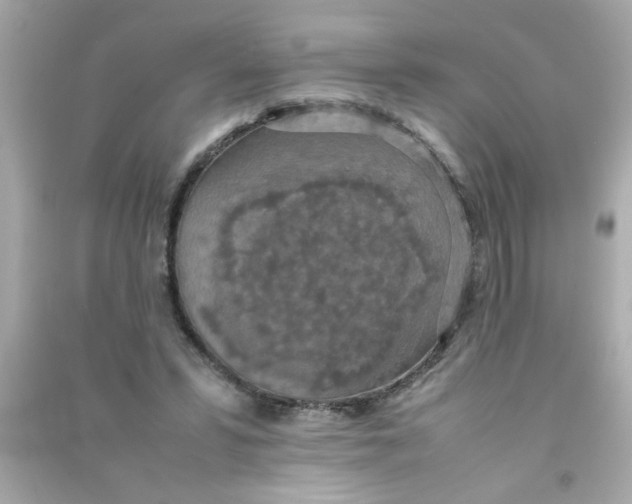 X0000090470399200708102138