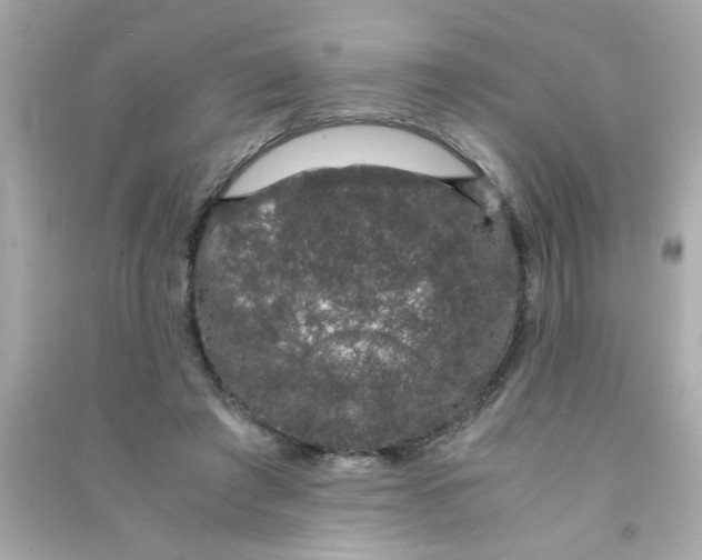 X0000090470401200708102138