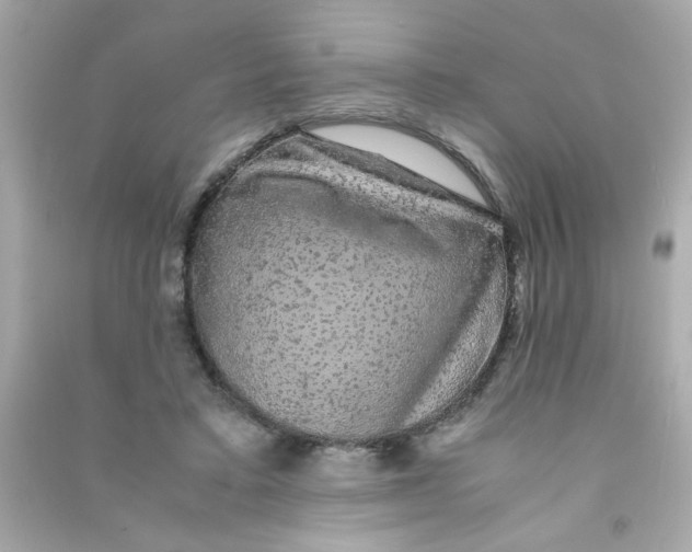 X0000090470403200708102138