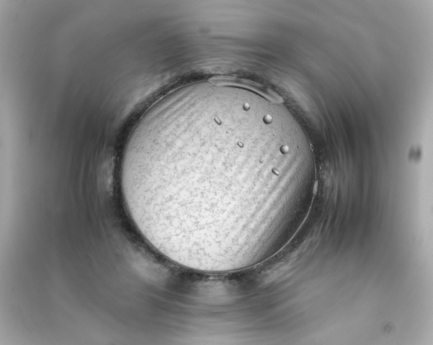 X0000090470404200708102138