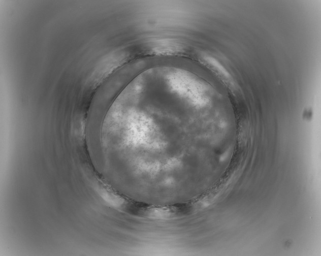 X0000090470405200708102138