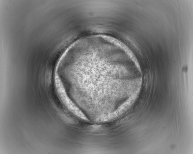 X0000090470406200708102138