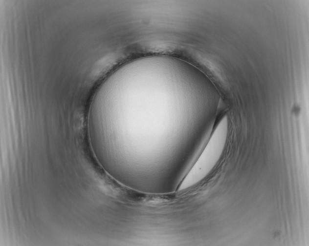 X0000090470407200708102138