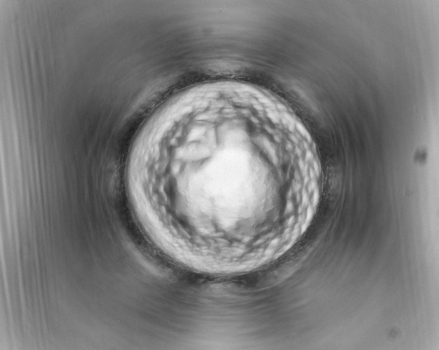 X0000090470408200708102138