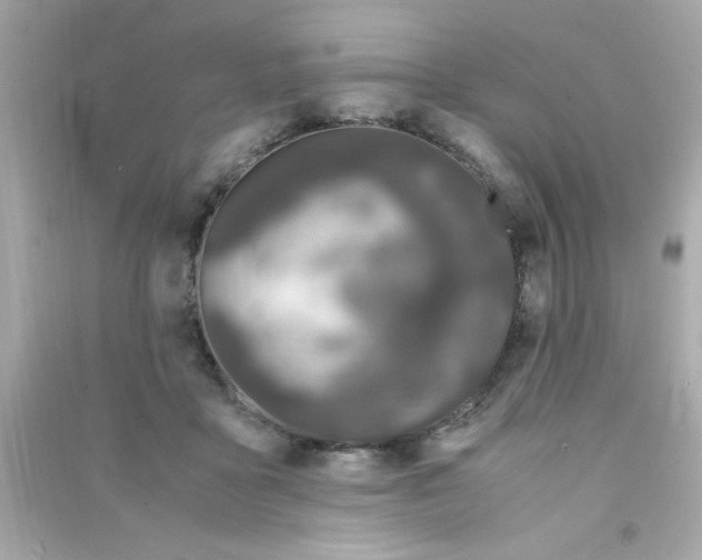 X0000090470411200708102138