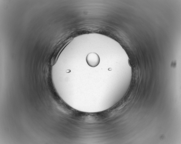 X0000090470412200708102138