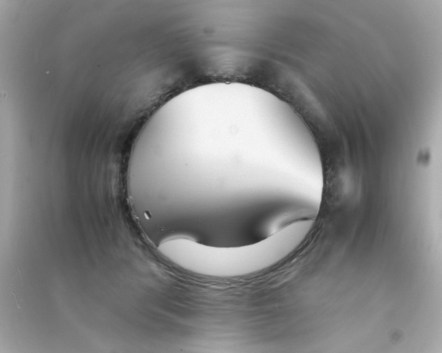 X0000090470416200708102138