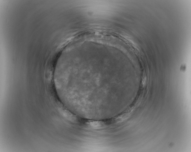 X0000090470417200708102138