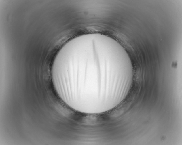 X0000090470418200708102138