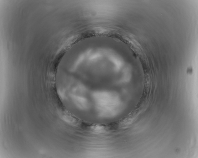 X0000090470419200708102138