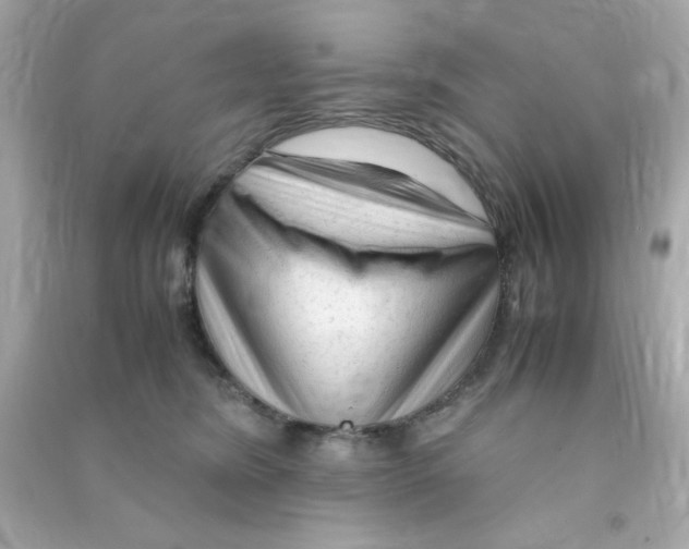 X0000090470420200708102138