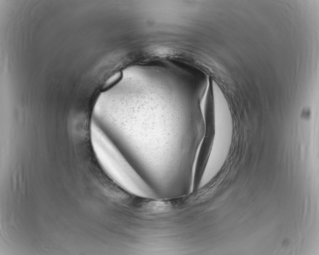 X0000090470421200708102138