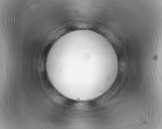 X0000090470422200708102137