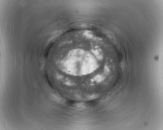 X0000090470423200708102137