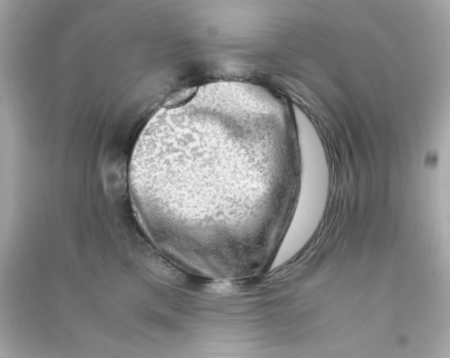 X0000090470425200708102137