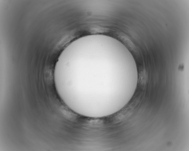 X0000090470426200708102137