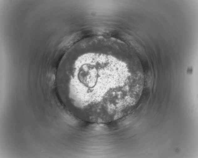 X0000090470427200708102137