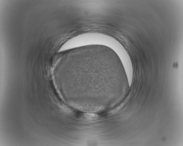 X0000090470429200708102137