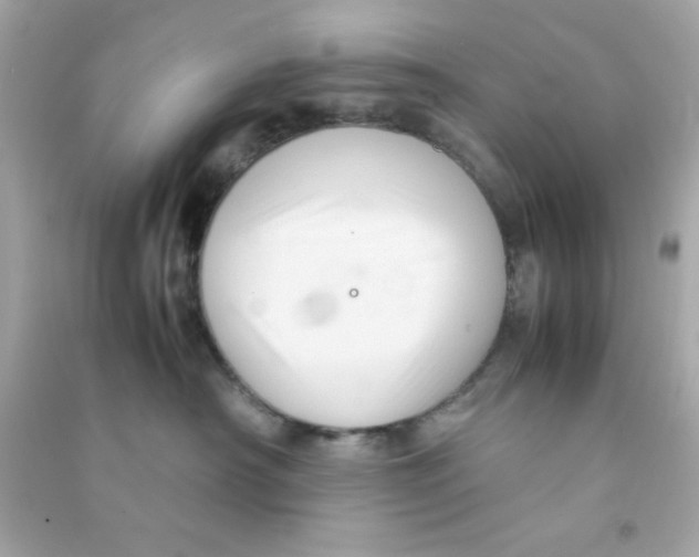 X0000090470430200708102137