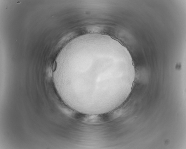 X0000090470431200708102137