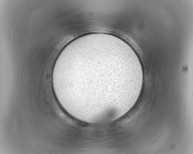 X0000090470433200708102137