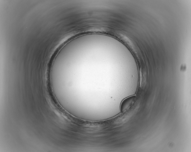 X0000090470435200708102137