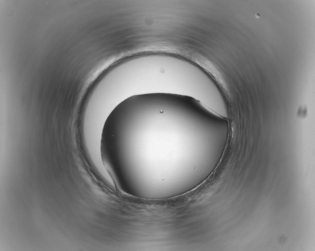 X0000090470436200708102137