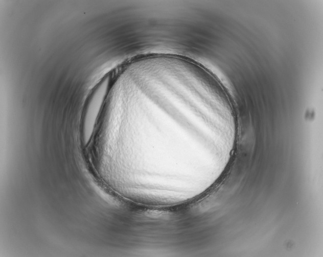 X0000090470437200708102137