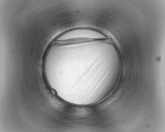 X0000090470439200708102137