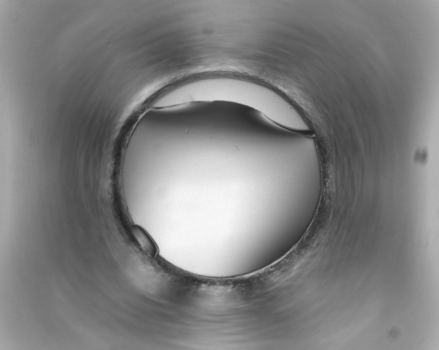 X0000090470440200708102137