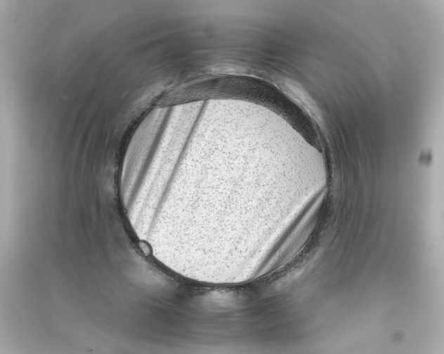 X0000090470441200708102137