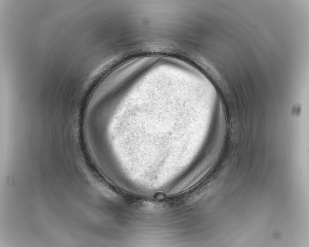 X0000090470442200708102137