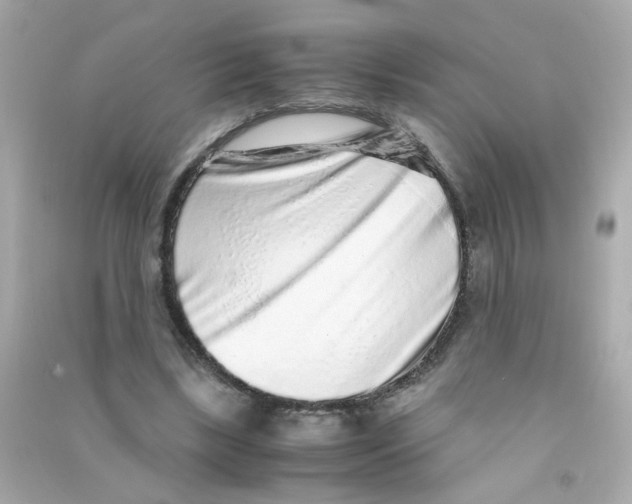 X0000090470443200708102137