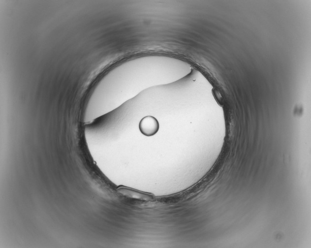 X0000090470444200708102137