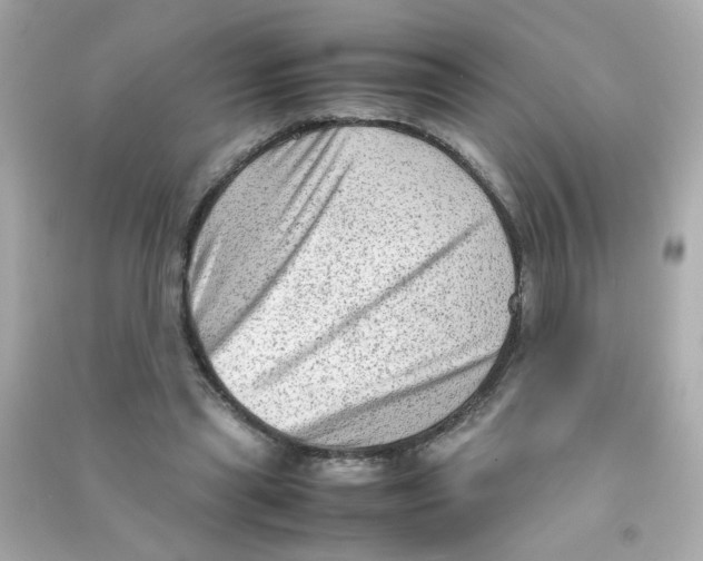 X0000090470445200708102137